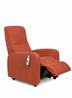 Fauteuil releveur 2 moteurs