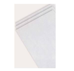 Serviette en ouate de cellulose 2 plis 40 x 40 cm - Carton de 2400